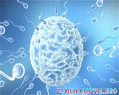 正规医院供卵助孕多少钱，违法广州地下做试管婴儿移植