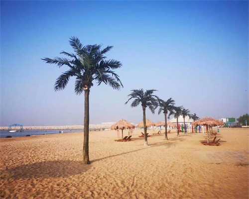 单身试管机构,对于卵巢功能不全的患者，有什么特别的促排卵方案推荐吗？