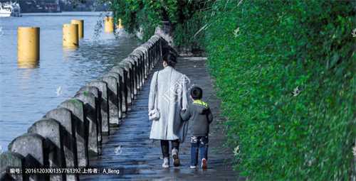 国内试管生男,卵泡长不大就会不排卵吗