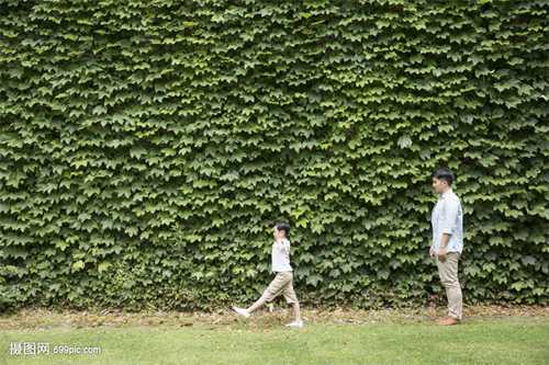 供卵包生男孩公司,月经拖尾能吃培坤丸吗