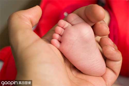 供卵生子机构,多囊卵巢超声表现有哪些