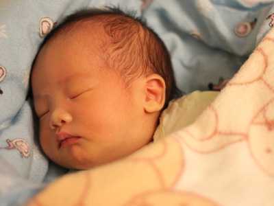 试管供卵助孕公司,打卵泡破裂针多久可以排卵