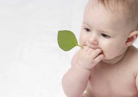 助孕公司联系电话,卵巢癌基因突变好还是不突变好