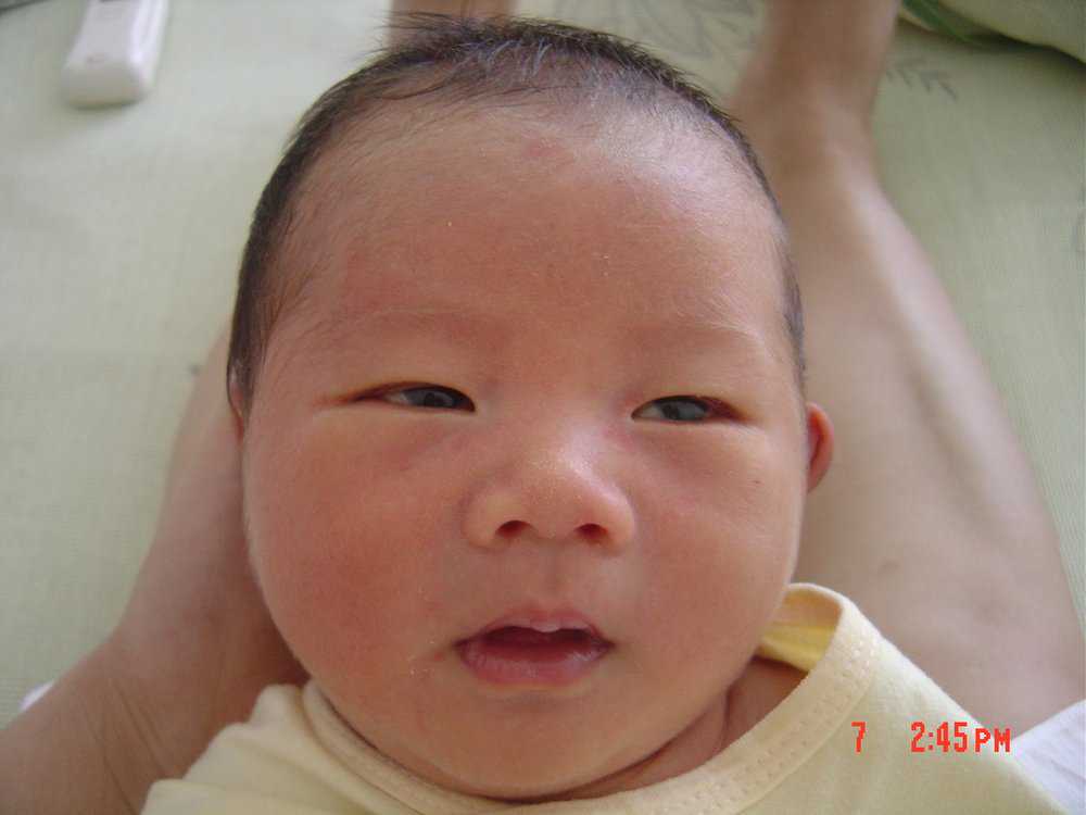 私人怀孕联系电话,怀孕饮食需要注意什么