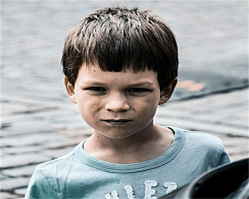 2026四川成都市试管私立医院排名揭晓—内附各家费用及成功率，指南一览！